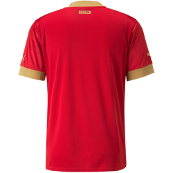 PUMA FSS Serbien Heimtrikot 2022/23 Herren
