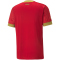 PUMA FSS Serbien Heimtrikot 2022/23 Herren