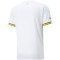 PUMA Ghana Heimtrikot 2022/23 Herren