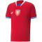 PUMA FACR Czech Republic Heimtrikot 2022/23 Herren