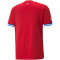 PUMA FACR Czech Republic Heimtrikot 2022/23 Herren
