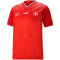 PUMA SFV Schweiz Heimtrikot 2022/23 Herren