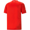 PUMA SFV Schweiz Heimtrikot 2022/23 Herren