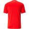 PUMA SFV Schweiz Heimtrikot 2022/23 Herren