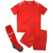 PUMA SFV Schweiz Heim Minikit 2022/23 Kinder