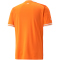PUMA Elfenbeinküste Heimtrikot 2022/23 Herren