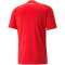 PUMA ÖFB Österreich Heimtrikot 2022/23 Herren