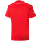 PUMA ÖFB Österreich Heimtrikot 2022/23 Kinder