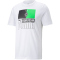 PUMA Borussia Mönchengladbach ftblCORE T-Shirt Herren