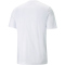PUMA Borussia Mönchengladbach ftblCORE T-Shirt Herren