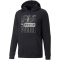 PUMA Borussia Mönchengladbach ftblCORE Hoodie Herren