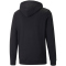 PUMA Borussia Mönchengladbach ftblCORE Hoodie Herren