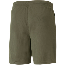 PUMA AC Milan Trainingsshorts Herren