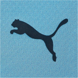PUMA Manchester City FC Training 1/4-Zip-Top Herren