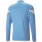 PUMA Manchester City FC Training 1/4-Zip-Top Herren