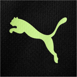 PUMA Manchester City FC Trainingsshorts Herren