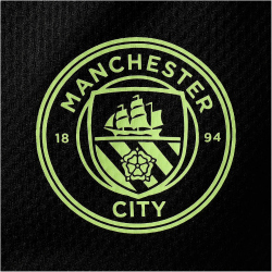 PUMA Manchester City FC Trainingsshorts Herren