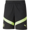 PUMA Manchester City FC Trainingsshorts Herren
