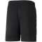 PUMA Manchester City FC Trainingsshorts Herren