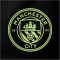 PUMA Manchester City FC Trainingsshorts Herren