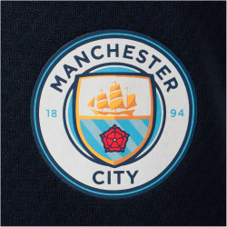PUMA Manchester City FC Trainingshose Herren