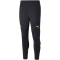 PUMA Manchester City FC Trainingshose Herren
