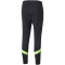 PUMA Manchester City FC Trainingshose Herren