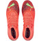 PUMA Future Z 1.4 FG/AG Fußballschuhe Herren fiery coral/fizzy light/puma black/salmon 46.5