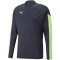 PUMA individualFINAL Training 1/4-Zip-Top Herren parisian night/fizzy light L