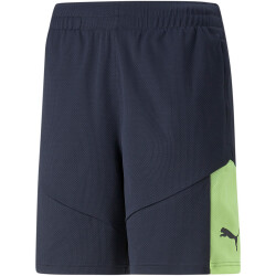 PUMA individualFINAL Trainingsshorts Herren parisian...