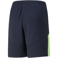 PUMA individualFINAL Trainingsshorts Herren parisian...