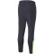 PUMA individualFINAL Trainingshose Herren parisian night/fizzy light S