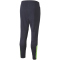 PUMA individualFINAL Trainingshose Herren parisian night/fizzy light L