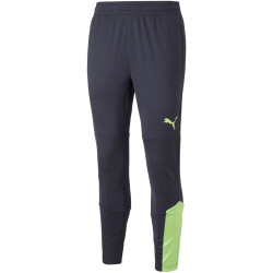 PUMA individualFINAL Trainingshose Herren parisian...