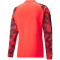 PUMA individualFINAL WM Training 1/4-Zip-Top Herren fiery coral/puma black S