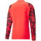 PUMA individualFINAL WM Training 1/4-Zip-Top Herren fiery coral/puma black L