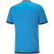 PUMA teamLIGA Schiedsrichtertrikot Herren bleu azur/puma black S