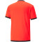 PUMA teamLIGA Schiedsrichtertrikot Herren red blast/puma black XL