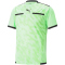 PUMA teamLIGA Schiedsrichtertrikot Herren fizzy lime/puma black S