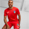 PUMA FIGC Italien Torwarttrikot 2022/23 Herren puma red/puma white S