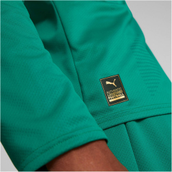 PUMA BVB Borussia Dortmund langarm Torwarttrikot 2022/23 mit Sponsor Herren pepper green XL