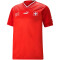 PUMA SFV Schweiz Heimtrikot 2022/23 Herren puma red/puma white L
