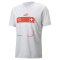 PUMA SFV Schweiz Auswärtstrikot 2022/23 Herren nimbus cloud/harbor mist XL