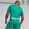 PUMA Borussia Mönchengladbach Auswärtstrikot 2022/23 mit Sponsor Herren pepper green/alpine green XL