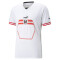 PUMA ÖFB Österreich Auswärtstrikot 2022/23 Herren PUMA white/PUMA black S