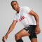 PUMA ÖFB Österreich Auswärtstrikot 2022/23 Herren puma white/puma black L