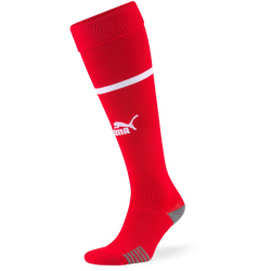 PUMA Team ÖFB Österreich Banded...
