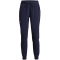 UNDER ARMOUR Woven Sporthose Damen
