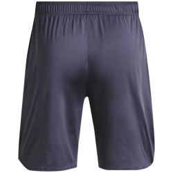 UNDER ARMOUR Stretch Trainingsshorts Herren