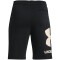 UNDER ARMOUR Rival Fleece Big Logo Shorts Jungen
